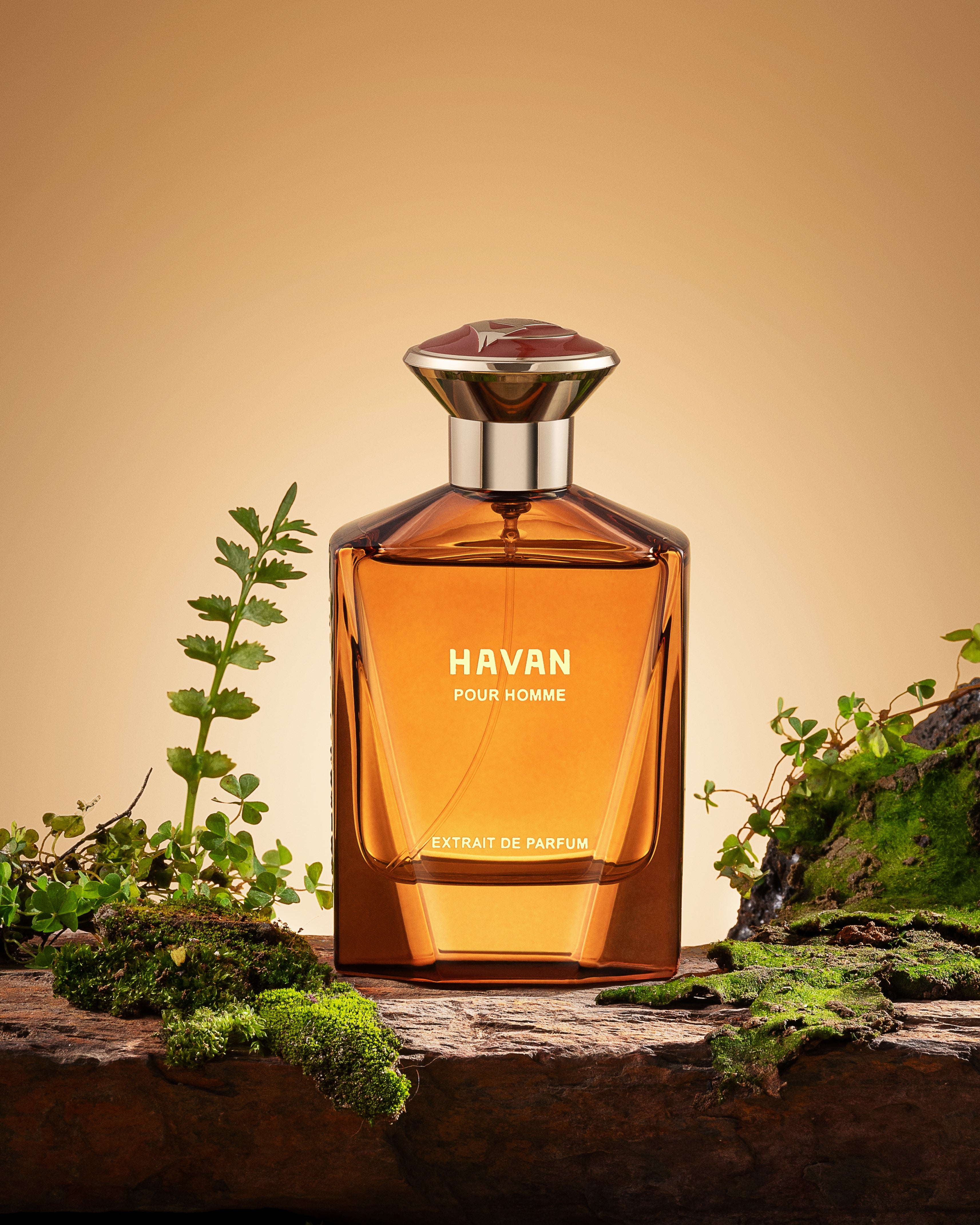 Havan